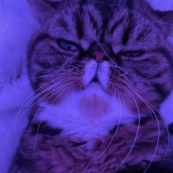 Meet your Posher, Lena - Picture 1 of 1